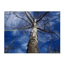 UV (Haze) 1A Multicoated | Multithreaded Glass Filter (55mm) For Sony Cyber-shot DSC-HX400