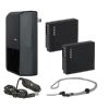 Panasonic Lumix DMC-GM5 High Capacity 'Intelligent' Batteries (2 Units) + AC/DC Travel Charger + Neck Strap